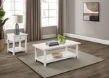Payne 2-piece Coffee and 1-drawer End Table Set White