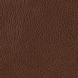 Brogliano Canyon Leather Sofa