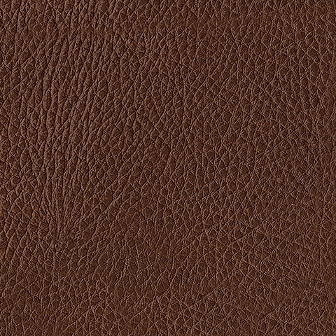 Brogliano Canyon Leather Sofa
