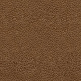 Saonara Amber Leather Loveseat