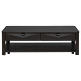 Marcelo 2-piece Coffee Table Set with Storage Coffee