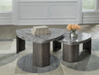 Gray and Brown Two-Piece Stacking Coffee Table Set — product view