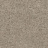 Narwhal Place Pebble Faux Leather 2-Piece Reclining Loveseat