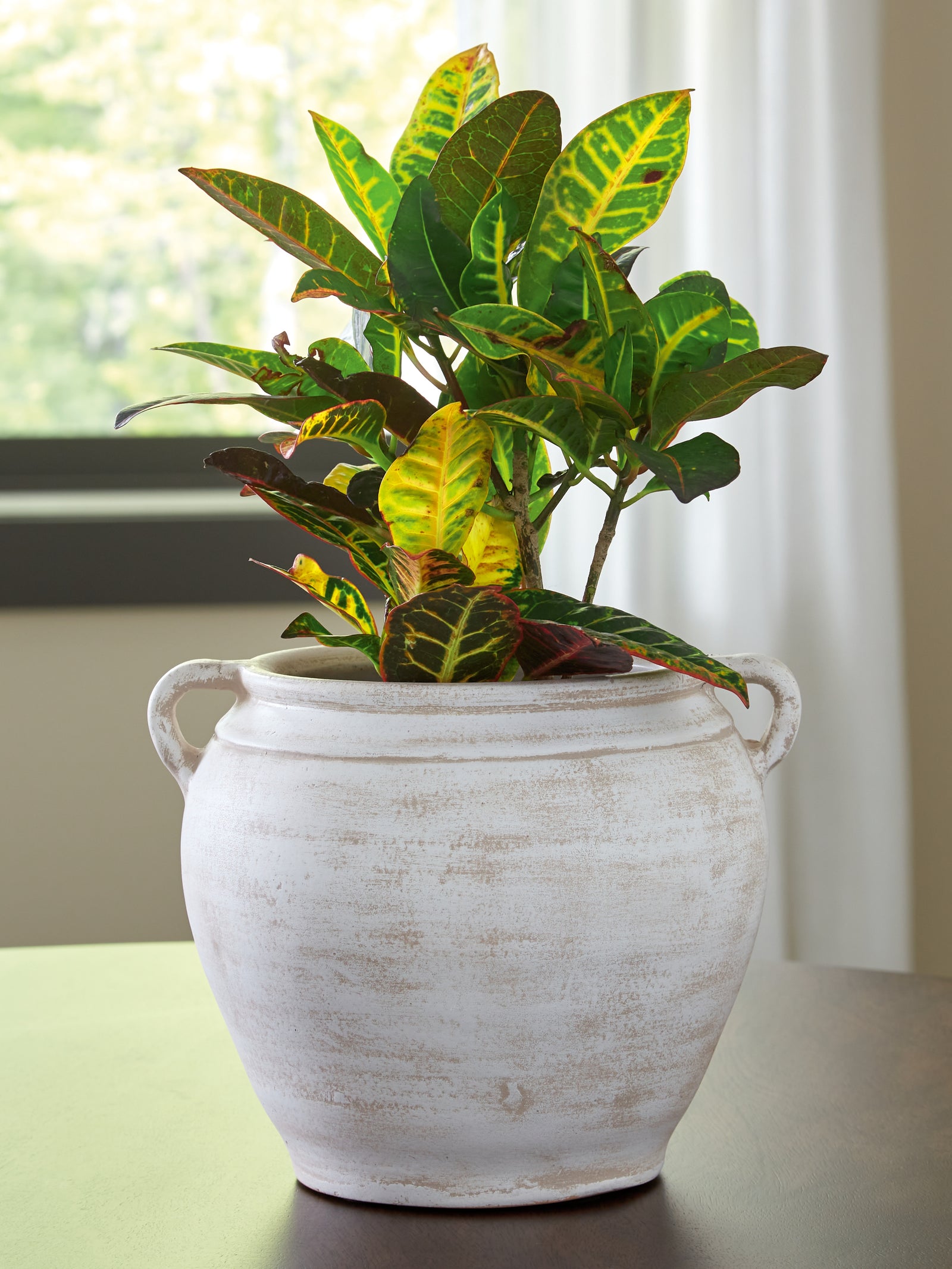 Meadie Distressed White Vase