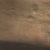 Wallmen Champagne Gold Finish Tray