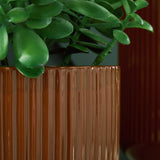 Avalyah Burnt Umber Vase (Set of 2)