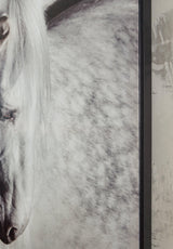 Archerwick Black/White Wall Art