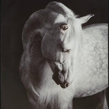Archerwick Black/White Wall Art