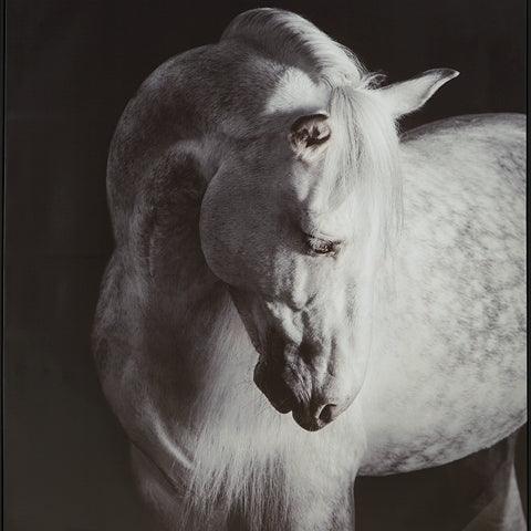 Archerwick Black/White Wall Art