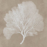 Hendridge Taupe/White Wall Art (Set of 3)