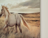 Errolville Multi Wall Art