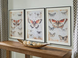 Jossletts Orange/Black/Ivory Wall Art (Set of 3)