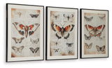 Jossletts Orange/Black/Ivory Wall Art (Set of 3)