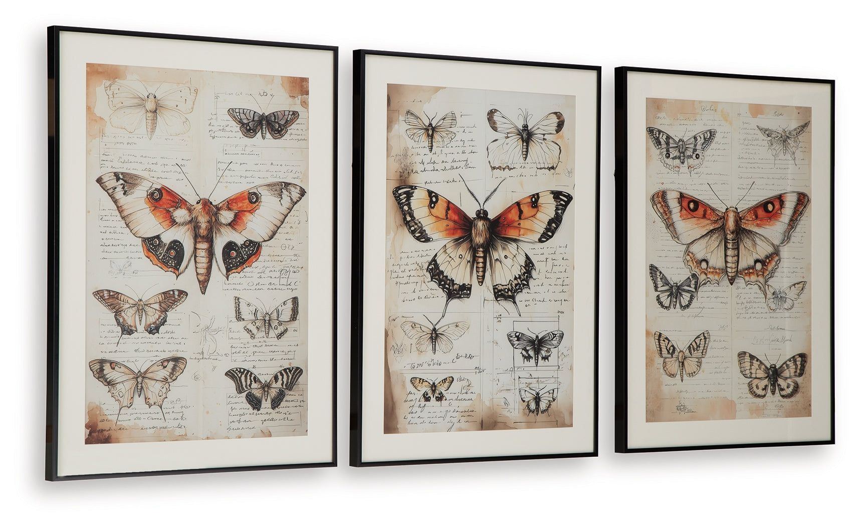 Jossletts Orange/Black/Ivory Wall Art (Set of 3)