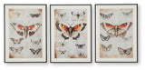 Jossletts Orange/Black/Ivory Wall Art (Set of 3)