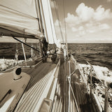 Arlanford Sepia Wall Art