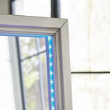Evesen Champagne Floor Standing Mirror/Storage