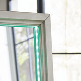 Evesen Champagne Floor Standing Mirror/Storage