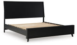 Danziar Black Panel Bedroom Set view 3