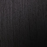 Danziar Black Full Panel Bed
