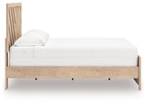 Sanginlane Tan King Panel Bed