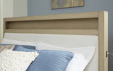 Calmoro Gray Queen Bookcase Bed