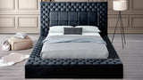 Emerald Black Upholstered Tufted Storage Panel Queen Bed
