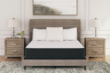 Limited Edition Plush White Twin Xl Mattress - Ella Furniture