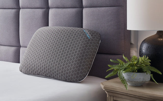 Zephyr 2.0 Dark Gray Graphene Contour Pillow (6/Case) - Ella Furniture