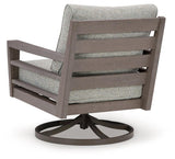 Hillside Barn Gray Brown Outdoor Swivel Lounge Chair with Cushion