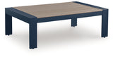 East Navy Blue/Driftwood Beach Outdoor Sofa and Loveseat with Coffee Table