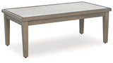Rainier Brown/Beige Ranch Outdoor Sofa and 2 Chairs with Coffee Table
