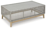 Seton Gray Creek Outdoor Sofa and Loveseat with Coffee Table