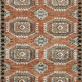 Qaabiz Sienna/Ivory/Black 5' x 7' Area Rug