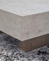 Jorlaina Light Grayish Brown Wood Coffee Table