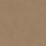 Mosswell Toffee Leather Power Recliner