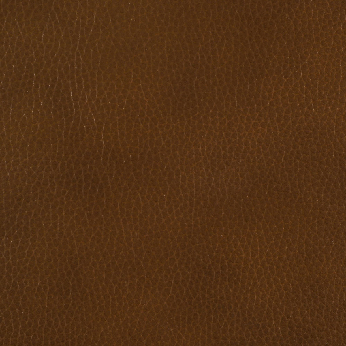Vardon Dark Brown Genuine Leather Counter Height Chairs (Set of 2) — product image 9