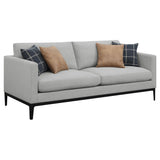Apperson Apperso 2-piece Upholstered Track Arm Sofa Set Light Grey 508681-S2 - Ella Furniture