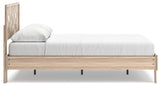 Battelle Tan Queen Panel Platform Bed - Ella Furniture