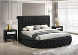 Brigitte Black Modern Solid Wood Velvet Upholstered Tufted Storage Queen Bed - Ella Furniture