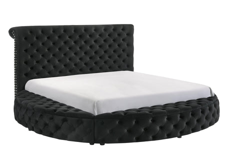Brigitte Black Modern Solid Wood Velvet Upholstered Tufted Storage Queen Bed - Ella Furniture