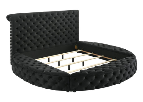 Brigitte Black Modern Solid Wood Velvet Upholstered Tufted Storage Queen Bed - Ella Furniture