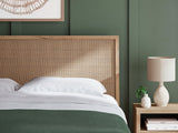 Cielden Two-tone King Panel Bed - Ella Furniture
