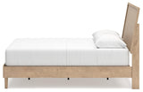 Cielden Two-tone Queen Panel Bed - Ella Furniture