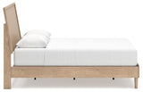 Cielden Two-tone Queen Panel Bed - Ella Furniture