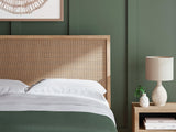 Cielden Two-tone Queen Panel Bed - Ella Furniture