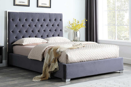 Rose Grey/Chrome 55"H Modern Solid Wood Velvet Upholstered Tufted Platform King Bed - Ella Furniture