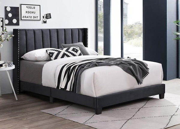 Lola Black Upholstered Queen Bed