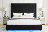 Belinda Black LED Upholstered Platform Queen Bed