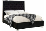 Rose Black Upholstered Tufted Platform Queen Bed